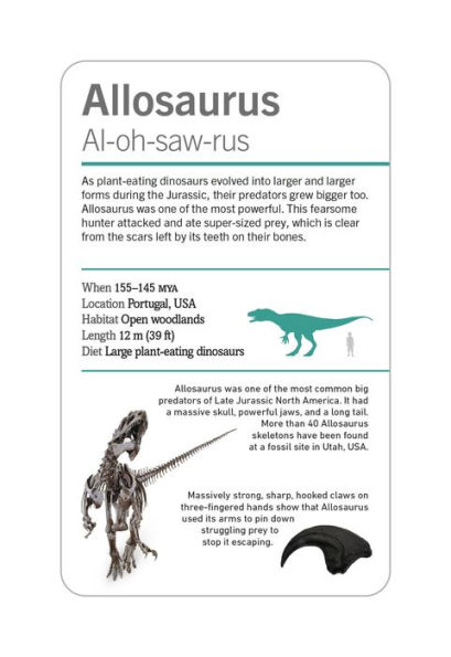 Our World in Pictures Dinosaurs and Other Prehistoric Creatures Flash Cards