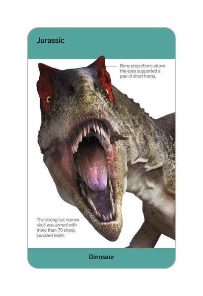 Our World in Pictures Dinosaurs and Other Prehistoric Creatures Flash Cards