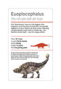 Alternative view 9 of Our World in Pictures Dinosaurs and Other Prehistoric Creatures Flash Cards