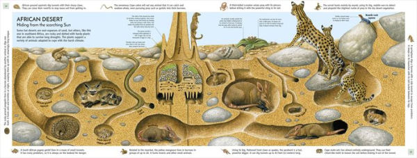 Life Underground: Tunnel into a World of Wildlife