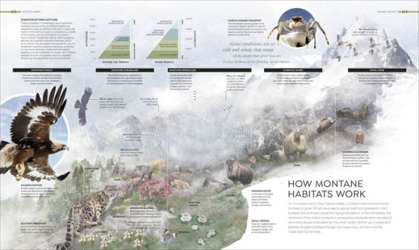 Habitats: From Ocean Trench to Tropical Forest