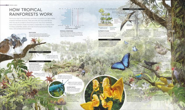 Habitats: From Ocean Trench to Tropical Forest