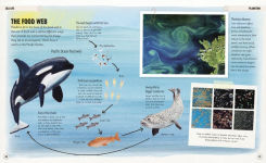 Alternative view 3 of Amazing Oceans: The Surprising World of Our Incredible Seas