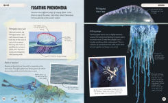 Alternative view 5 of Amazing Oceans: The Surprising World of Our Incredible Seas