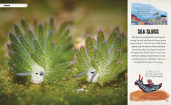 Alternative view 8 of Amazing Oceans: The Surprising World of Our Incredible Seas