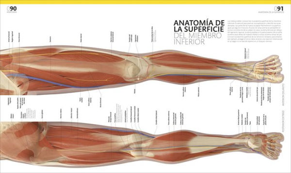 El gran libro del cuerpo humano (The Complete Human Body)