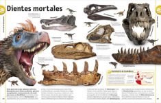 Alternative view 5 of El libro de los dinosaurios (The Dinosaur Book)