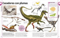 Alternative view 6 of El libro de los dinosaurios (The Dinosaur Book)