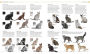 Alternative view 2 of The Cat Encyclopedia: The Definitive Visual Guide