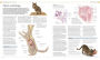 Alternative view 4 of The Cat Encyclopedia: The Definitive Visual Guide