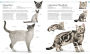 Alternative view 5 of The Cat Encyclopedia: The Definitive Visual Guide