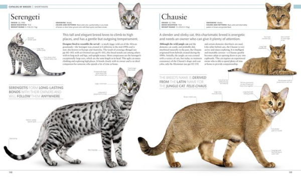 The Cat Encyclopedia: The Definitive Visual Guide