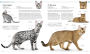 Alternative view 6 of The Cat Encyclopedia: The Definitive Visual Guide