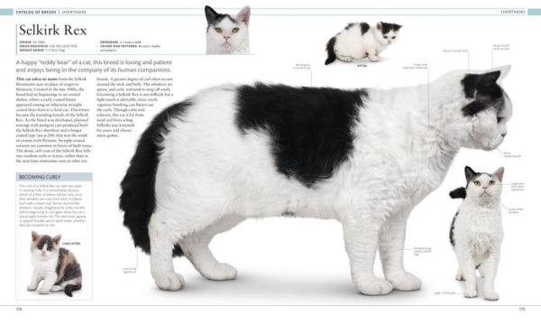 The Cat Encyclopedia: The Definitive Visual Guide