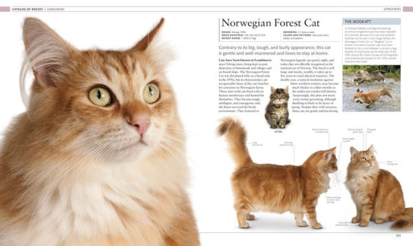 The Cat Encyclopedia: The Definitive Visual Guide