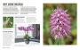 Alternative view 5 of Grow Orchids: Essential Know-how and Expert Advice for Gardening Success