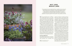 Alternative view 9 of The Money-Saving Gardener: Create Your Dream Garden at a Fraction of the Cost: THE SUNDAY TIMES BESTSELLER