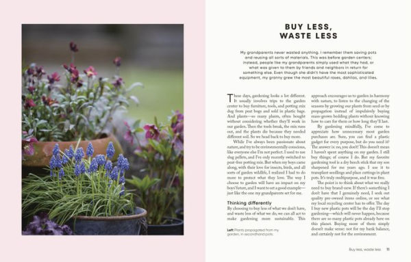 The Money-Saving Gardener: Create Your Dream Garden at a Fraction of the Cost: THE SUNDAY TIMES BESTSELLER