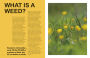 Alternative view 3 of What's That Weed?: Know Your Weeds and Learn to Live with Them