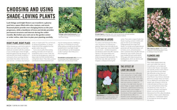 Grow Shade Garden: Essential Know-how and Expert Advice for Gardening Success