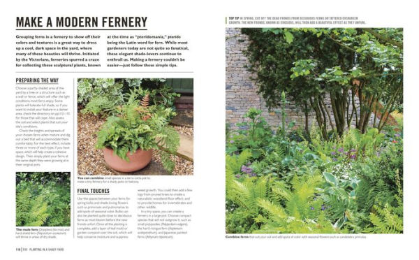 Grow Shade Garden: Essential Know-how and Expert Advice for Gardening Success