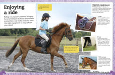 Alternative view 3 of My Book of Horses and Ponies: A Fact-Filled Guide to Your Equine Friends