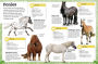 Alternative view 4 of My Book of Horses and Ponies: A Fact-Filled Guide to Your Equine Friends
