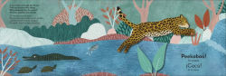 Alternative view 3 of Bilingual Pop-Up Peekaboo! Rainforest - La selva