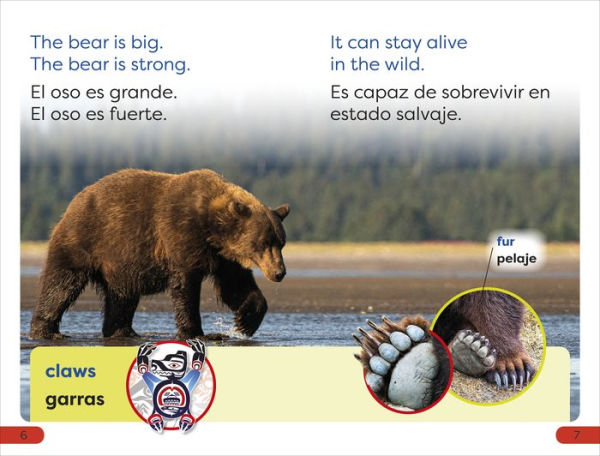 DK Super Readers Pre-level Bilingual A Bear's Tale - Relato de un oso