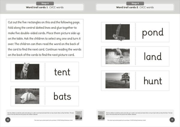 Phonic Books Dandelion World Reading and Writing Activities for Stages 8-15 (Consonant Blends and Consonant Teams)