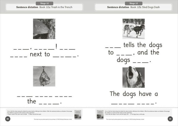 Phonic Books Dandelion World Reading and Writing Activities for Stages 8-15 (Consonant Blends and Consonant Teams)