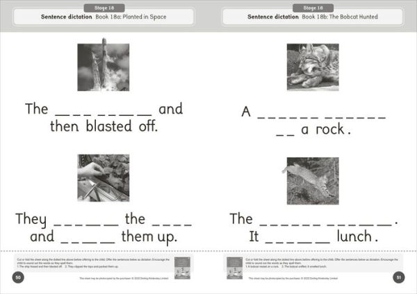 Phonic Books Dandelion World Reading and Writing Activities for Stages 16-20 ('tch' and 've', Two-Syllable Words, Suffixes -ed and -ing and Spelling <le>)