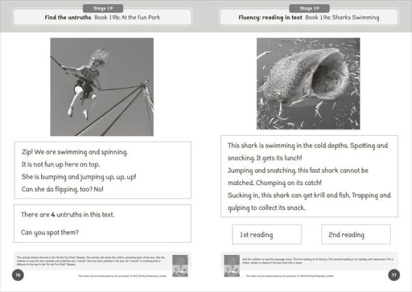 Phonic Books Dandelion World Reading and Writing Activities for Stages 16-20 ('tch' and 've', Two-Syllable Words, Suffixes -ed and -ing and Spelling <le>)