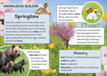 Alternative view 4 of Phonic Books Dandelion World Stages 8-15 (Words with Four Sounds CVCC)
