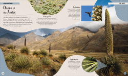 Alternative view 6 of Mountain: Go On a Grand Tour of the Highest Places on Earth