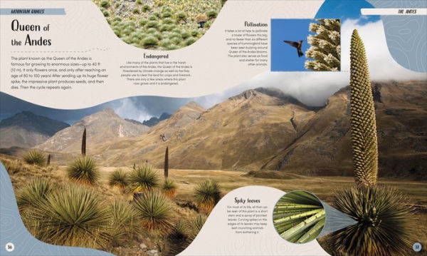 Mountain: Go On a Grand Tour of the Highest Places on Earth