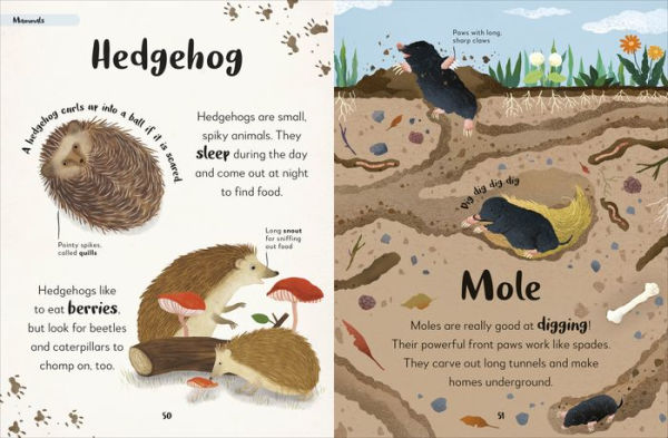 Bedtime Books: A Lovable Introduction to Animals and Dinosaurs