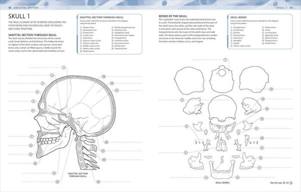 The Human Body Coloring Book: The Ultimate Anatomy Study Guide, Second Edition