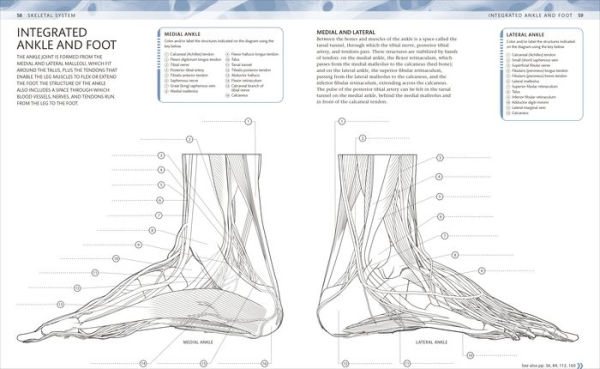 The Human Body Coloring Book: The Ultimate Anatomy Study Guide, Second Edition