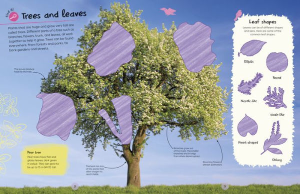 Ultimate Sticker Book Trees and Leaves