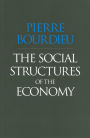 The Social Structures of the Economy / Edition 1