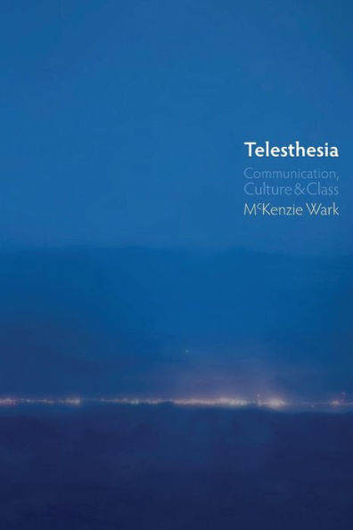 Telesthesia: Communication, Culture and Class / Edition 1