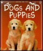 Dogs and Puppies