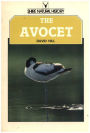 The Avocet