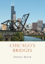 Chicago's Bridges