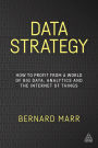Data Strategy: How to Profit from a World of Big Data, Analytics and the Internet of Things