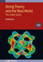 String Theory and the Real World (Second Edition): The visible sector