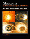 Glaucoma: A Colour Manual of Diagnosis and Treatment / Edition 2