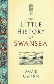 Title: The Little History of Swansea, Author: David Gwynn