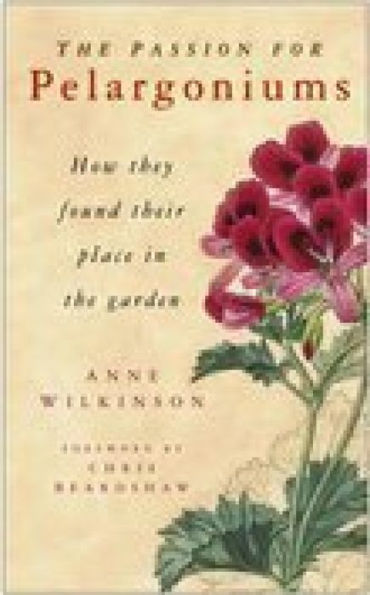 The Passion for Pelargoniums: How They Found Their Place in the Garden